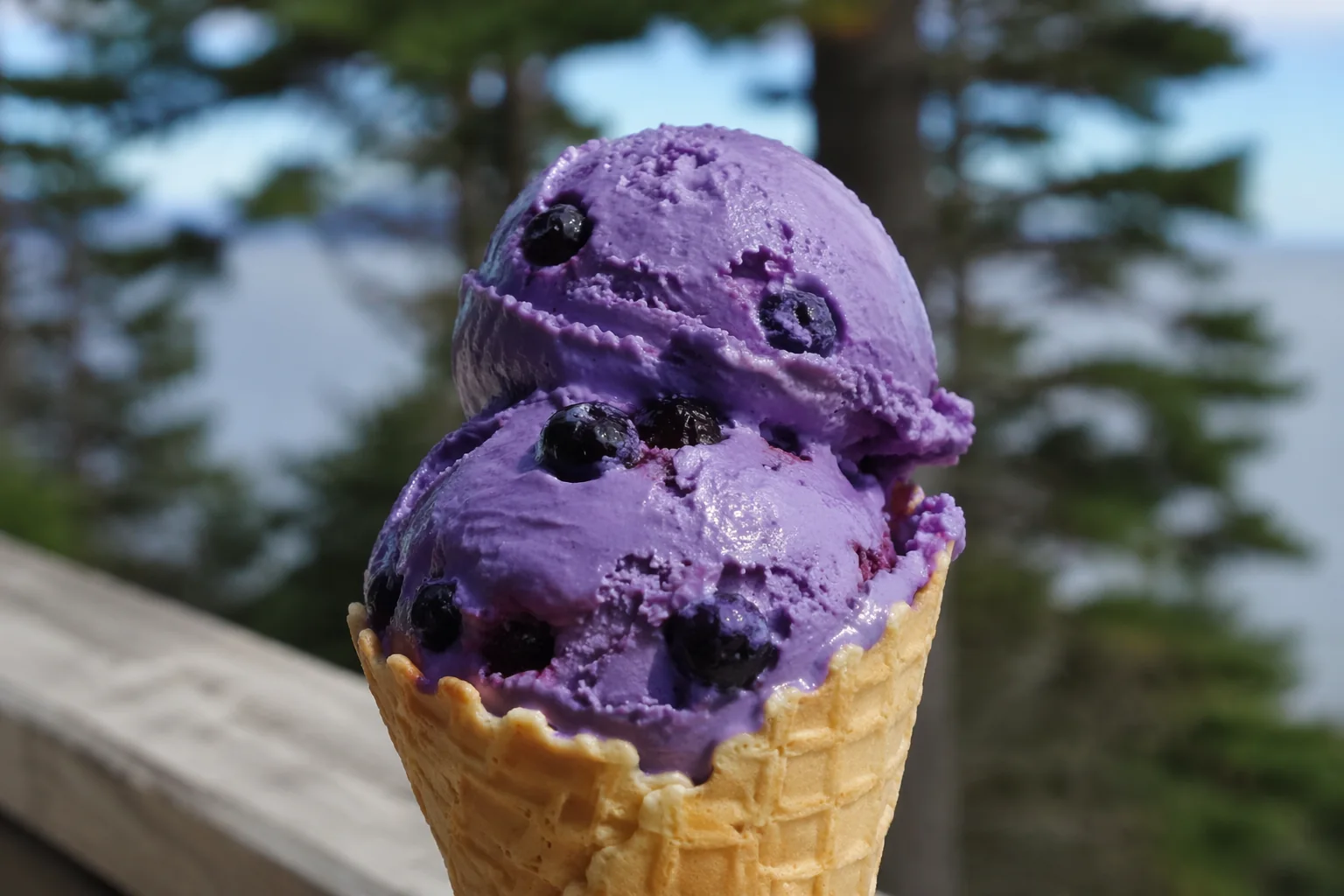 Double scoop of purple wild blueberry ice cream in a waffle cone, pine trees behind